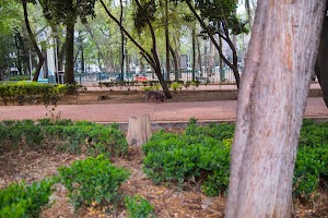 _DSF9731.jpg