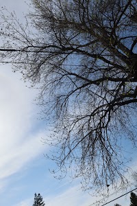 IMG_2995.JPG