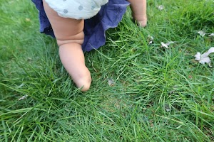 IMG_3014.JPG