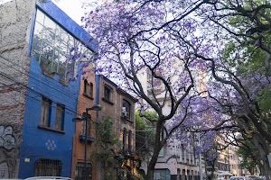 _DSF0073.jpg