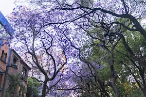 _DSF0079.jpg