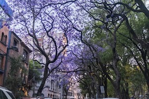 _DSF0082.jpg
