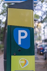 _DSF0099.jpg