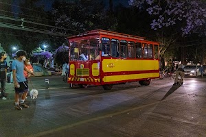 _DSF0241.jpg