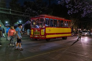 _DSF0242.jpg