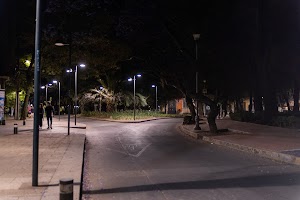 _DSF0333.jpg