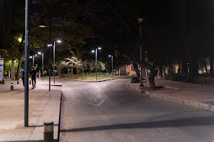 _DSF0336.jpg