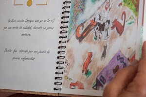 IMG_4569.jpg