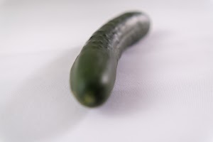 _DSF0819.jpg