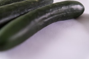_DSF0822.jpg