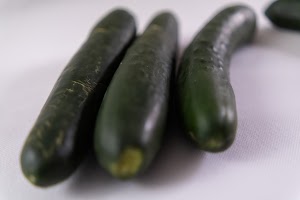 _DSF0825.jpg