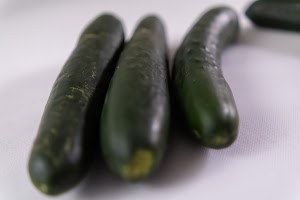 _DSF0826.jpg