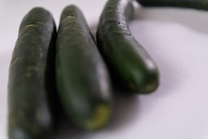 _DSF0828.jpg