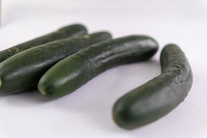_DSF0839.jpg
