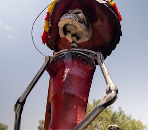 _DSF1856.jpg