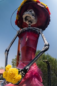 _DSF1874.jpg