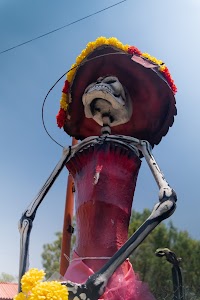 _DSF1877.jpg
