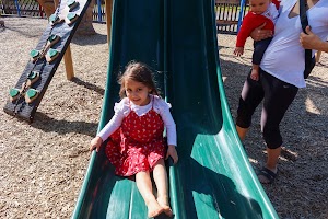IMG_2866.jpg