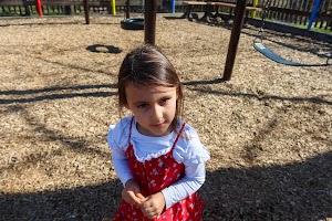 IMG_2908.jpg