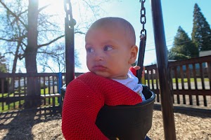 IMG_2909.jpg