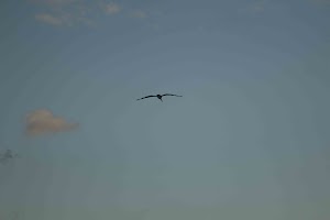 IMG_0885.jpg