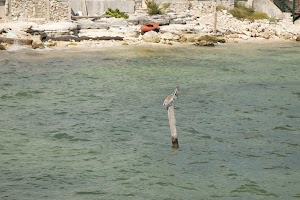 IMG_0917.jpg