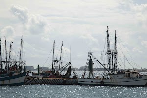 IMG_0923.jpg