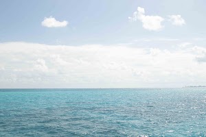 IMG_0941.jpg