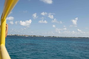 IMG_0944.jpg