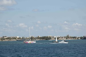 IMG_0946.jpg