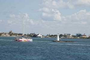 IMG_0952.jpg