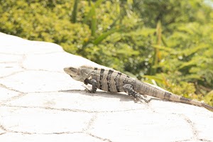 IMG_0983.jpg