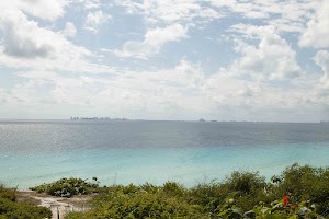 IMG_0989.jpg