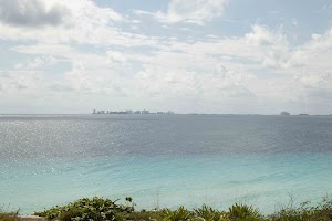 IMG_0994.jpg