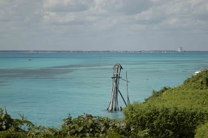 IMG_1075.jpg
