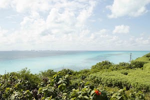 IMG_1101.jpg