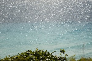 IMG_1116.jpg
