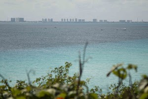 IMG_1134.jpg