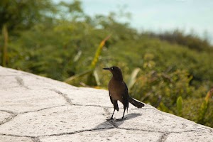 IMG_1142.jpg