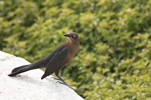 IMG_1146.jpg