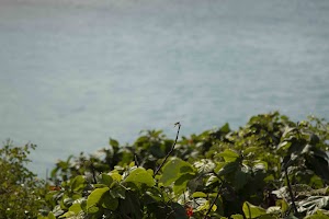 IMG_1178.jpg
