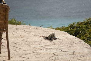 IMG_1190.jpg