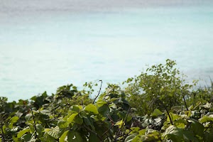 IMG_1211.jpg