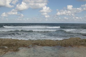 IMG_1226.jpg