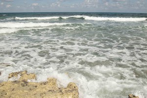 IMG_1252.jpg