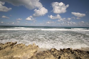 IMG_1255.jpg