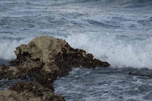 IMG_1566.jpg