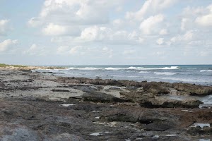 IMG_1573.jpg