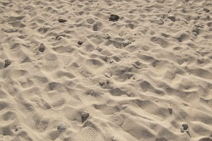 IMG_1577.jpg