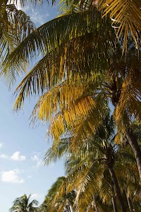 IMG_1586.jpg